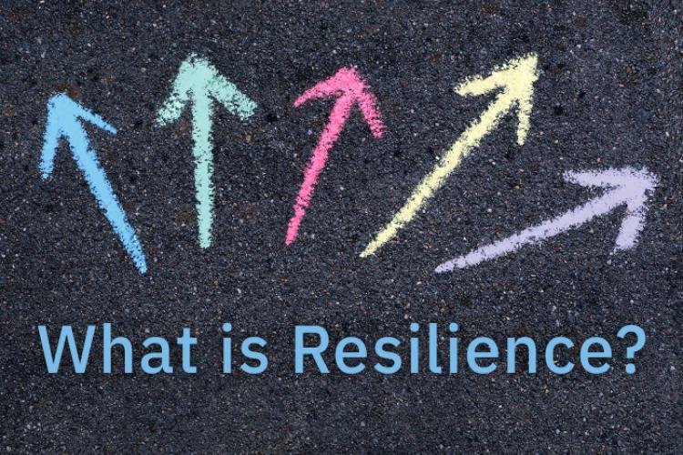  Upcoming Workshop: What is Resilience?
