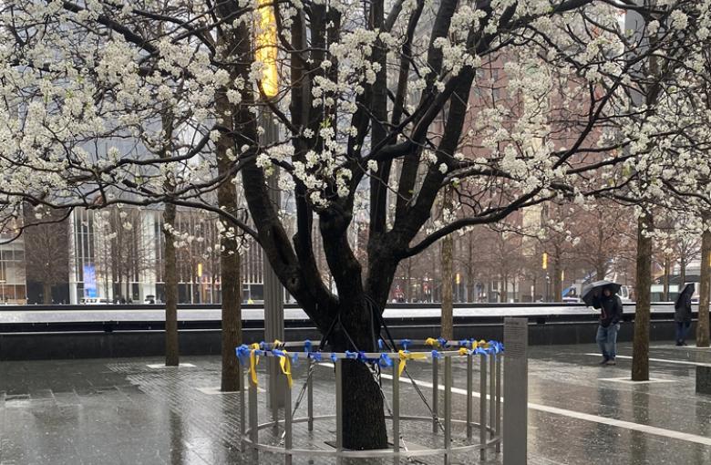 9/11 Health Update: Survivor Program